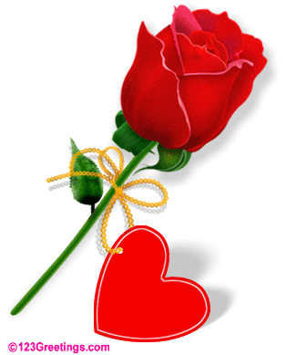 pour vous mes amis